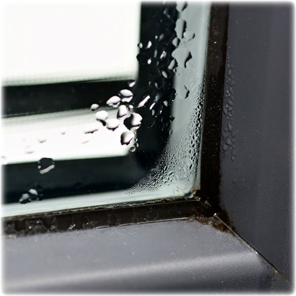 25.05 - Damp, Mould & Condensation - Window